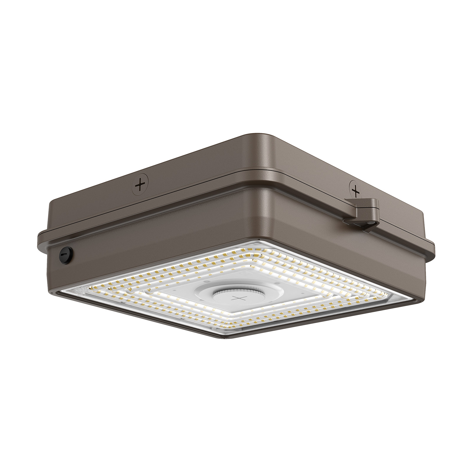 CP03 LED Canopy Light